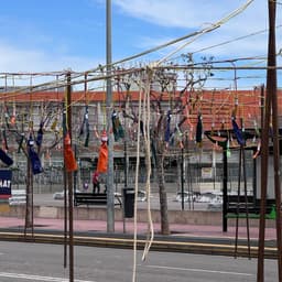 ¡Anuncio oficial de fiestas! 🎉